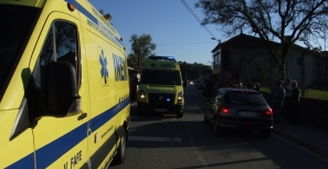 Atropelado em Marinhão quando tentava salvar gato